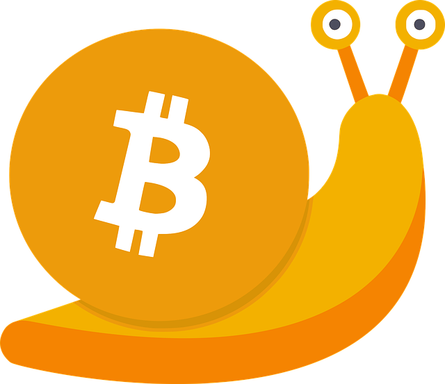 Bitcoin w bisonkasyno